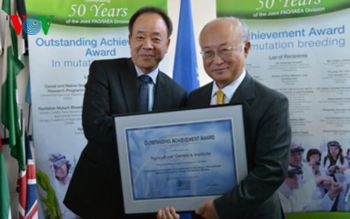 เวียดนามได้รับรางวัลจากไอเออีเอเกี่ยวกับการพัฒนาสายพันธุ์ข้าว